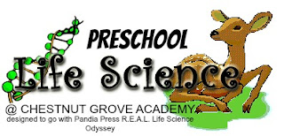 Chestnut Grove Academy: Preschool Life Science