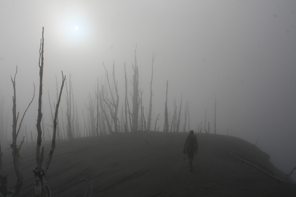 Astrology What it means to have transit Pluto conjunct your Capricorn moon