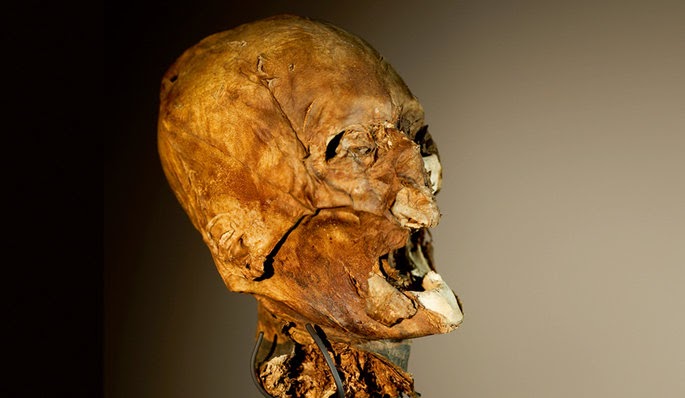 Le Mystère De La Tête D Henri Iv Henri IV-Authentification de sa tête | Site de la famille Montillet