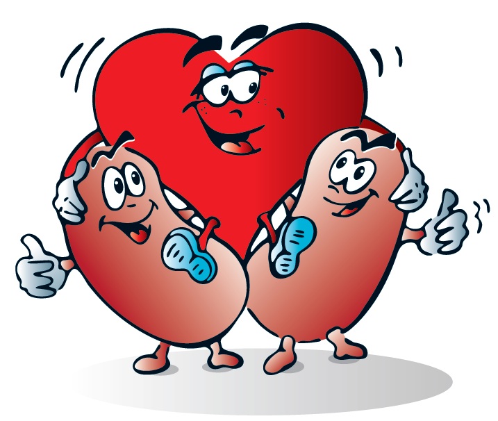 funny kidney clipart - photo #49