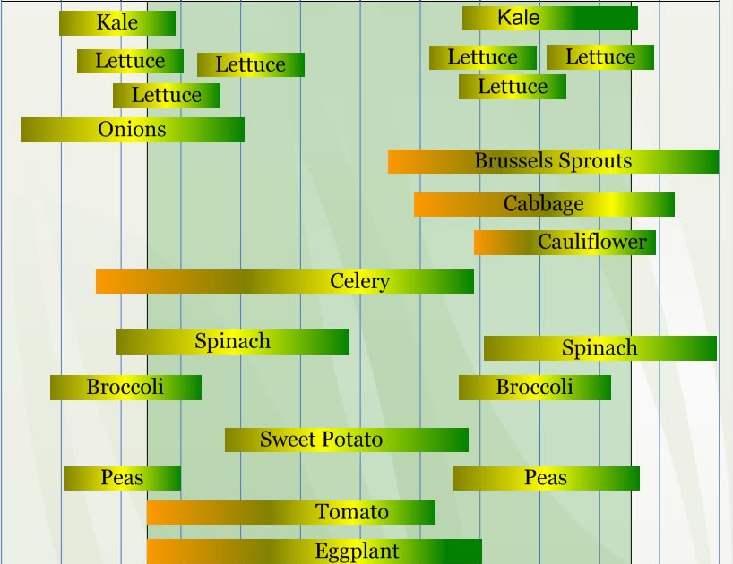 Meg s Spot Time To Start Planning The Vegetable Garden