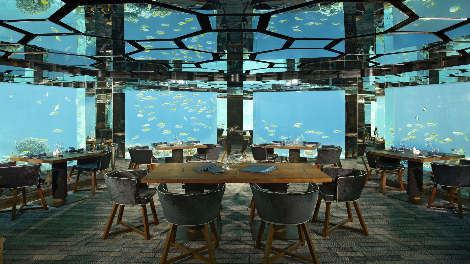 loveisspeed....... Sea Underwater Restaurant Anantara, Kihavah
