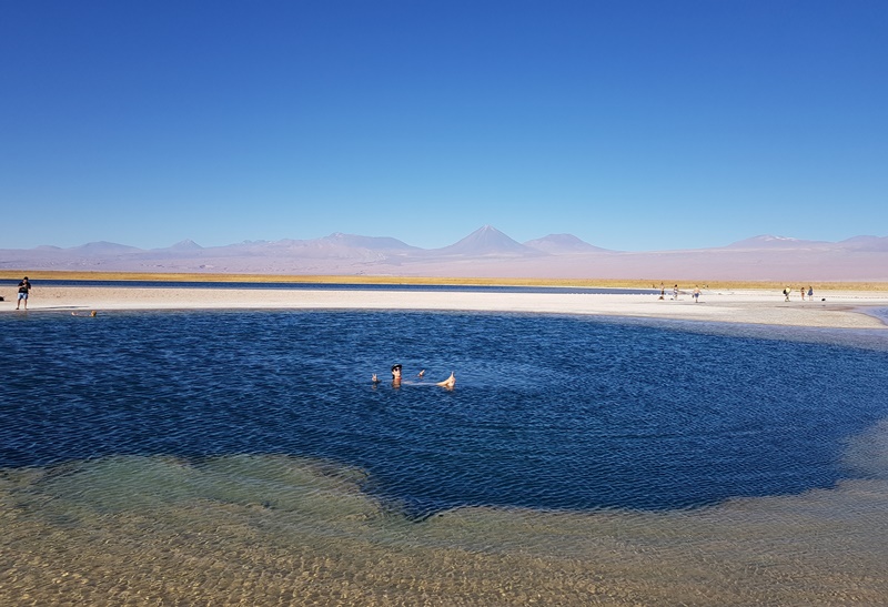 Deserto do Atacama, Laguna Cejar