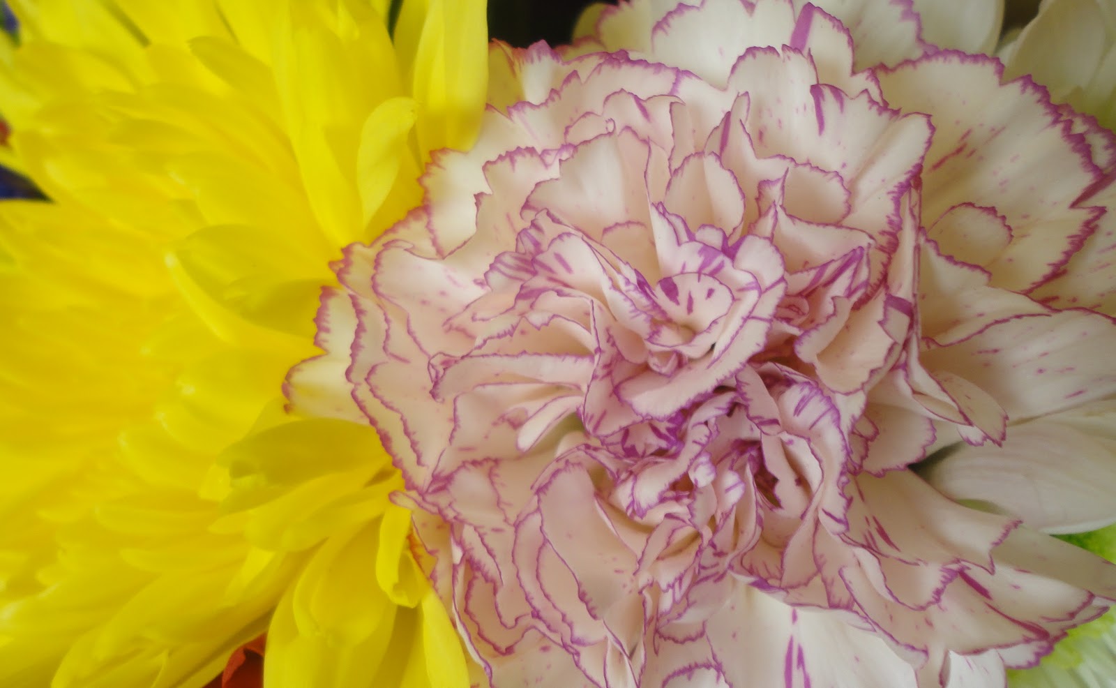 *Try It With Carmella* Beautiful Flower Bundle