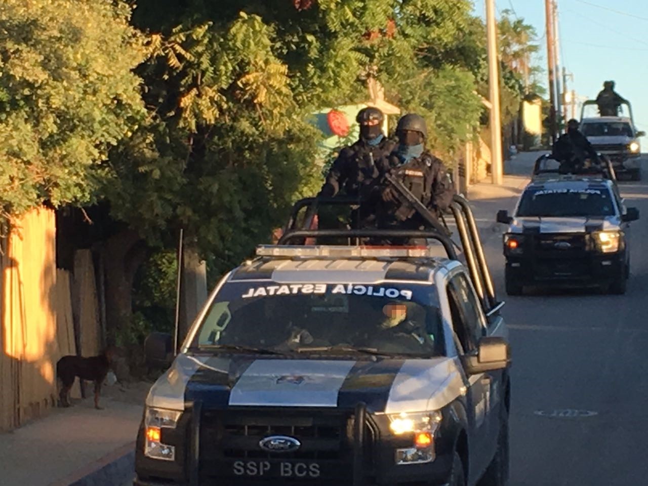 DPDMNOTICIAS. POLICIACA