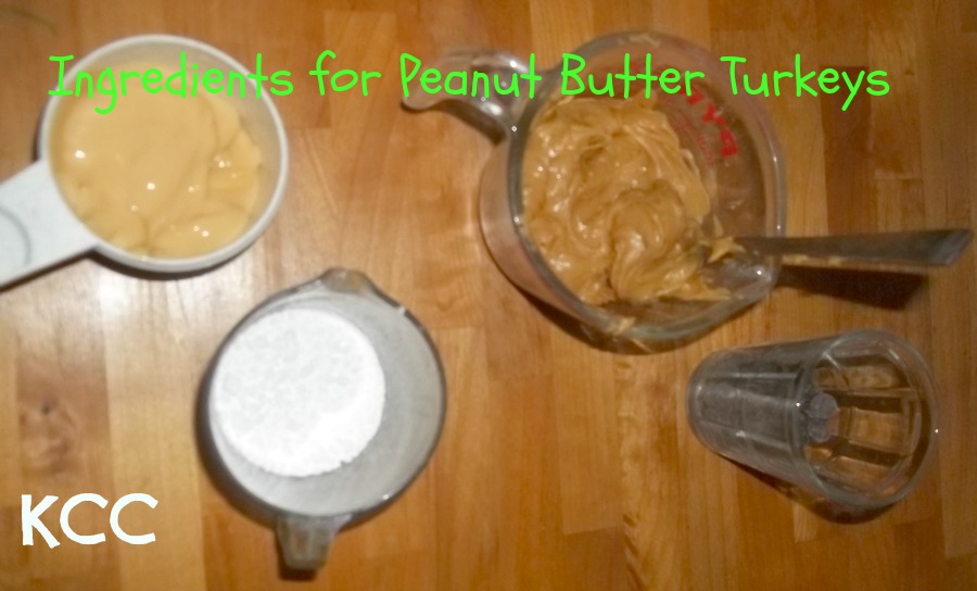Kitchen Kids Peanut Butter Turkeys Recipe (Peanut Butter Balls