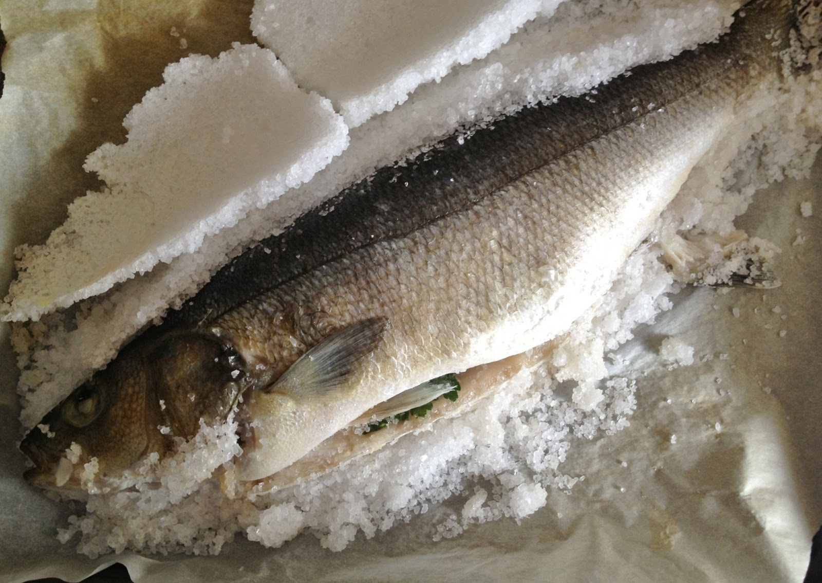 Ho Scoperto Che Mi Piace Il Pesce