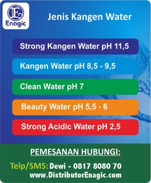 Distributor Kangen Water Indonesia