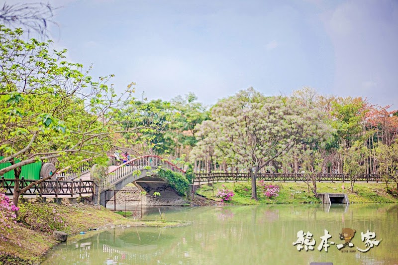 心湖櫻緣|三峽台北大學「心湖櫻花步道」-杜鵑、吉野櫻、木棉花齊綻放
