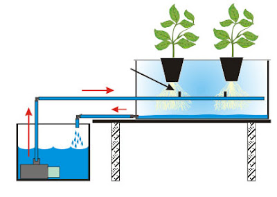 hidroponik sistem aeroponik