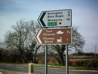 crazy idea to crazy idea to