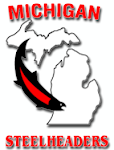Michigan Steelhead & Salmon Fishermen's Association