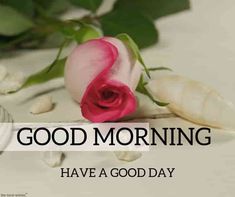 good morning images hd