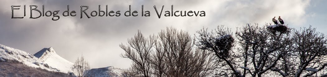 El blog de Robles de la Valcueva