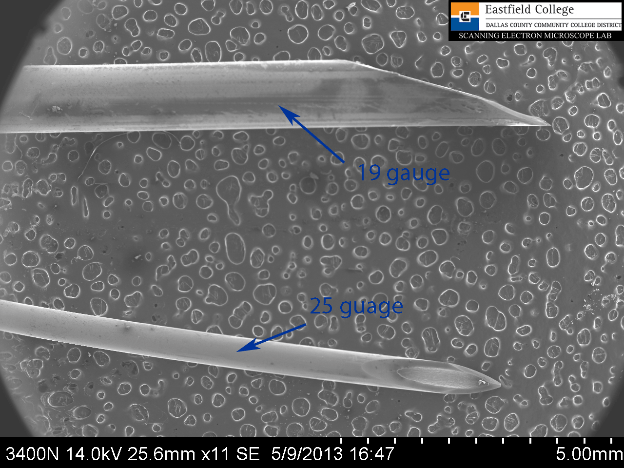 Scanning Electron Microscope Blog How Sharp is a Hypodermic Needle?
