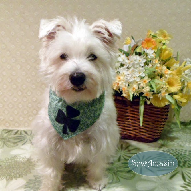 st patrick day bandana for dogs