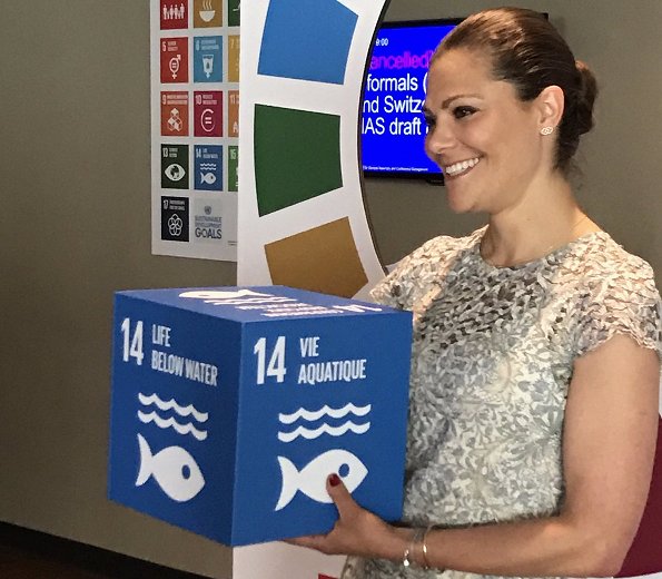 Crown Princess Victoria attended the "The World Oceans Day" event held at the United Nations Headquarters in New York.
