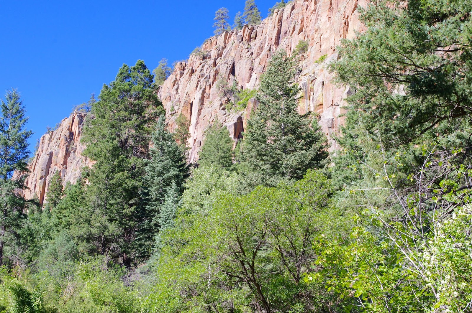 Southern New Mexico Explorer Cañoncito Seco Trail Santa Fe National
