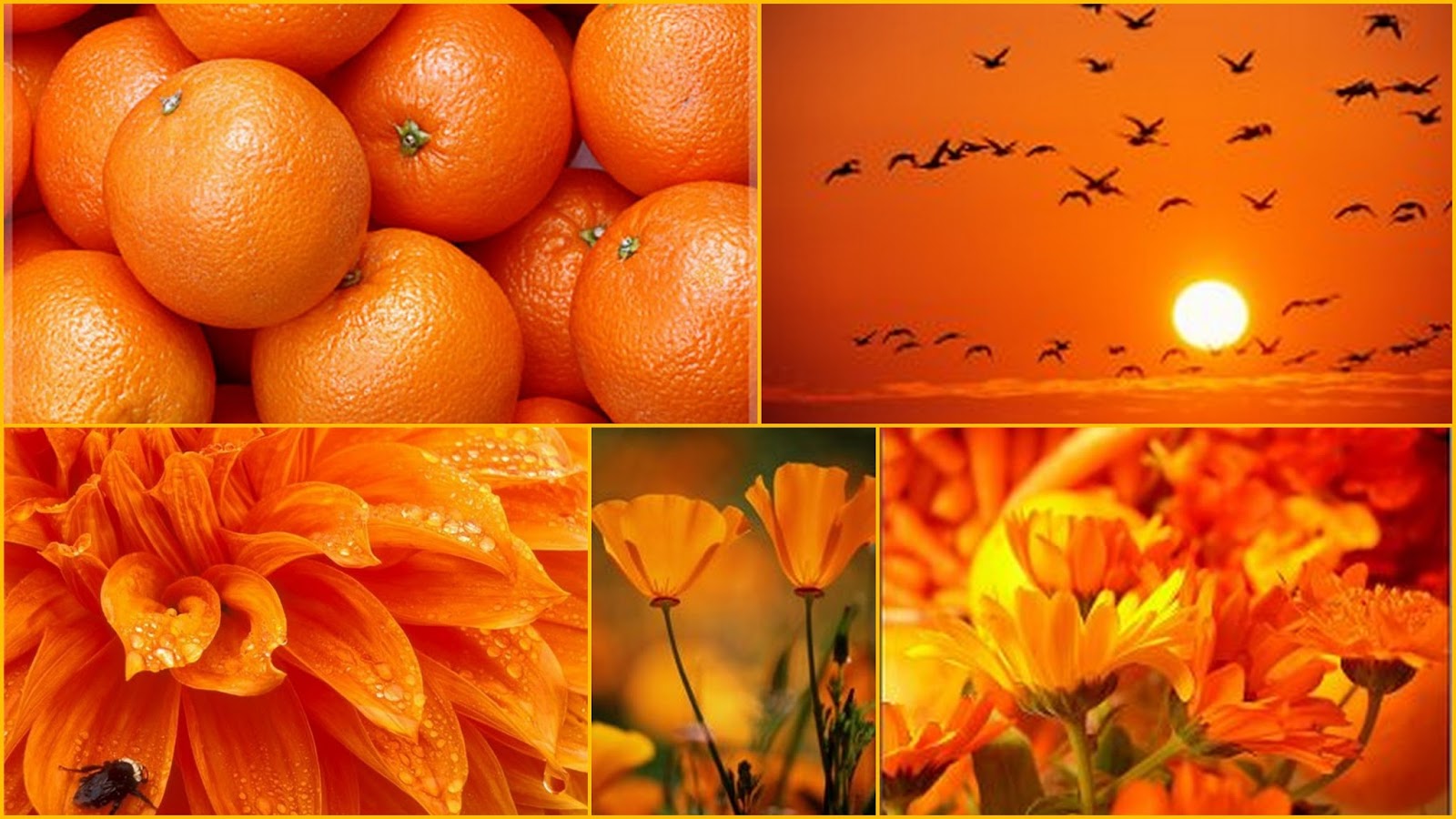 Цветотерапия оранжевый