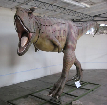 Museo de Historia Natural - UPAO
