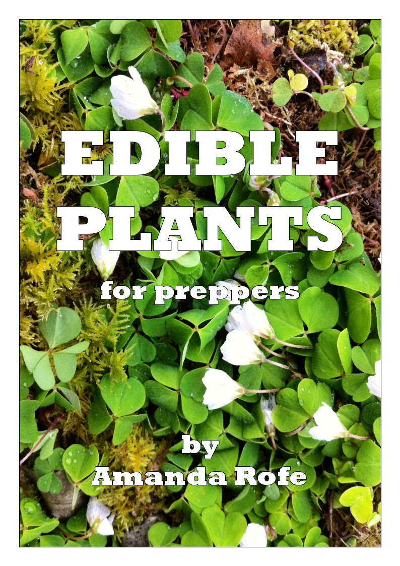 Raw Edible Plants KINDLE COUNTDOWN DEALS