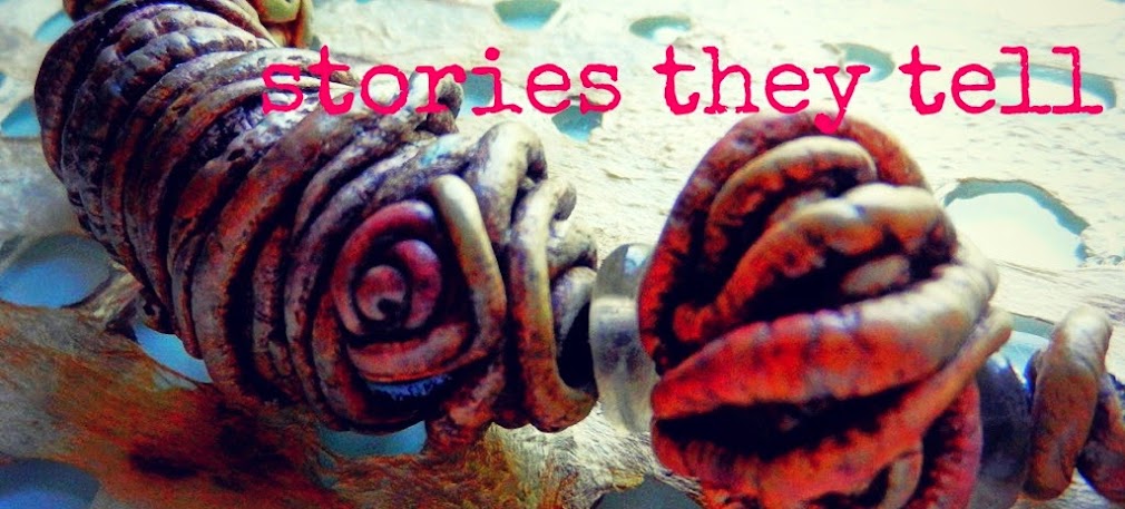 Stories They Tell