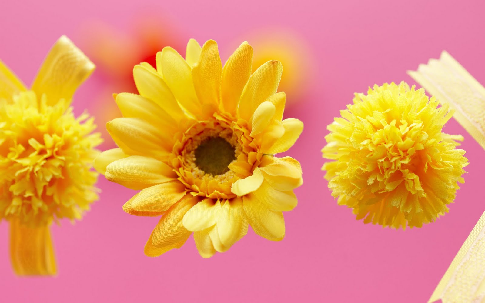 Christine Bailey: yellow flower background