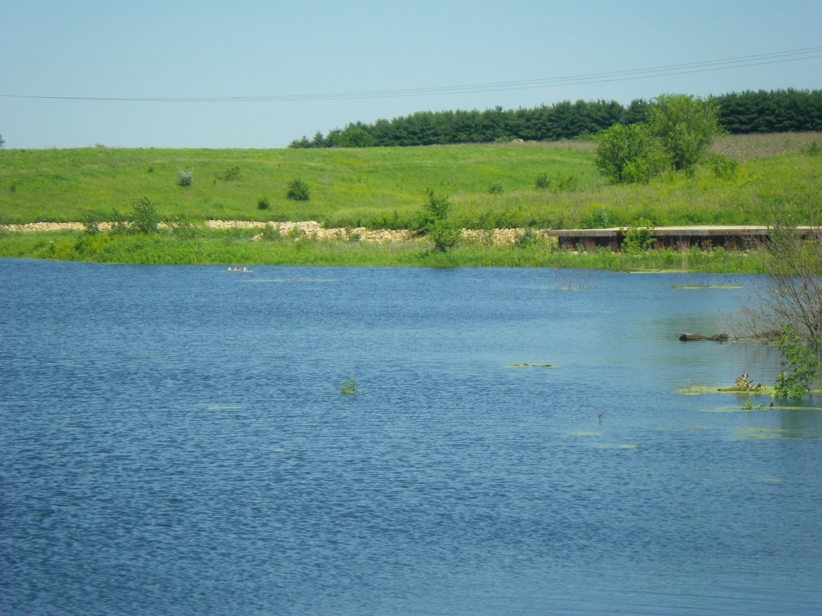 The Lost Grove Lake Mapping Project