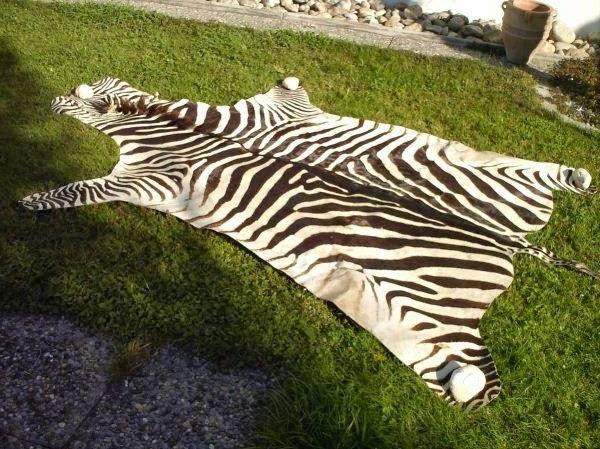 Zebra skin furniture and accessories