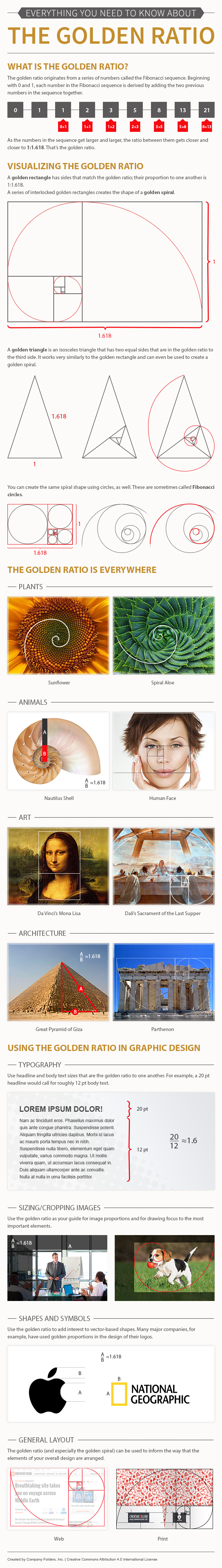 Everything You Need to Know About the Golden Ratio - Infographic