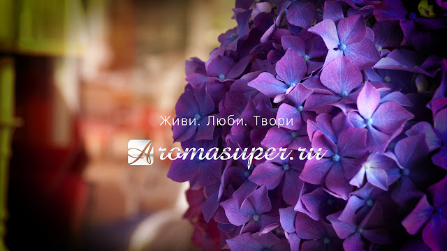 армель парфюм фото. Бизнес с Armelle Parfum. Армель фото, картинки