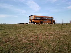 bus coops coop cluck cool trailers