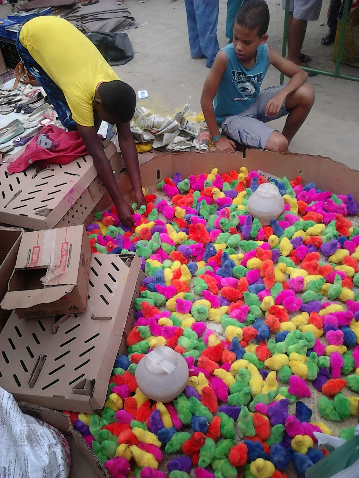 Featured image of post Pintinho Colorido Da Feira