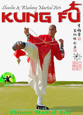 Kung Fu, Clases para niños y niñas, Azuqueca de Henares..