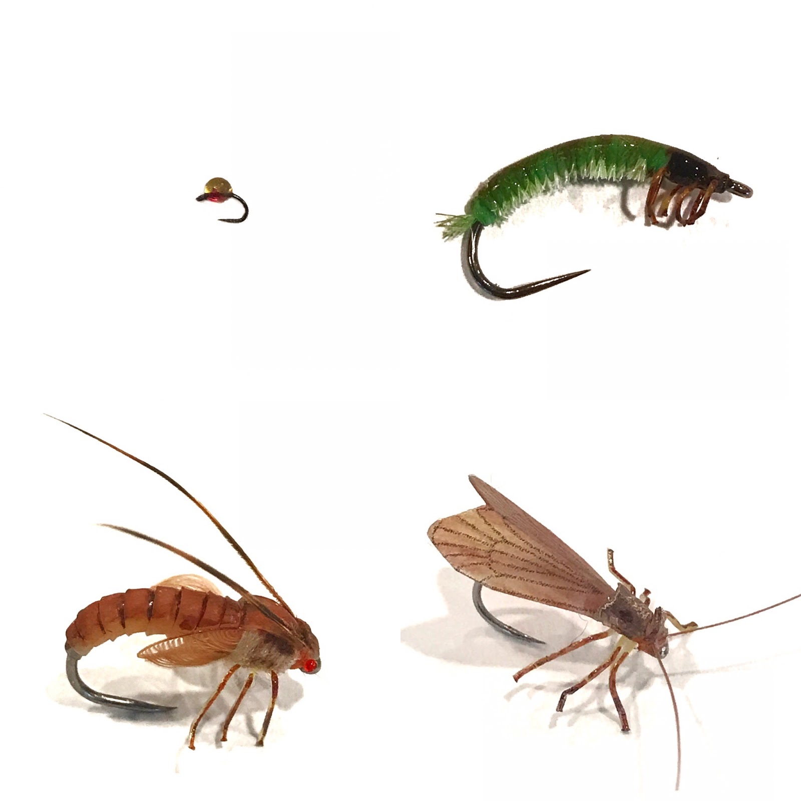 Tradd's Flies Caddis Life Cycle