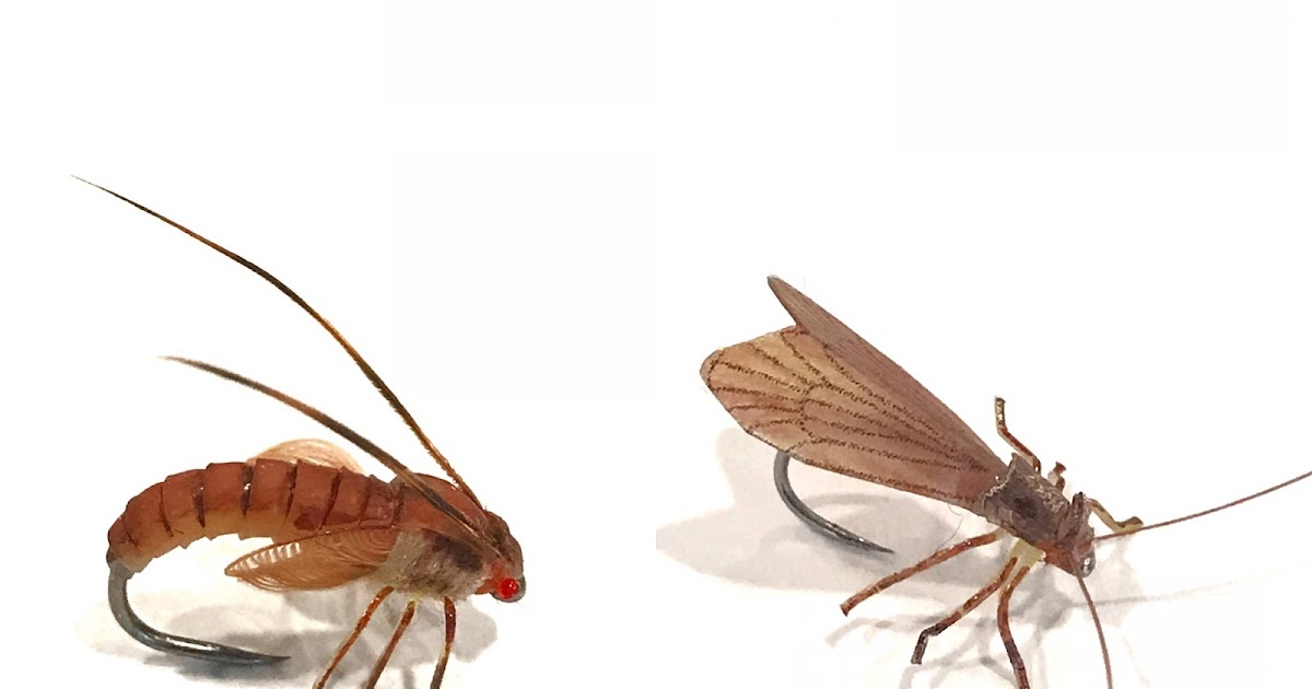 Tradd's Flies Caddis Life Cycle