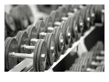 Weight Training Begins Today - Weight Training ~ Alternative Exercises