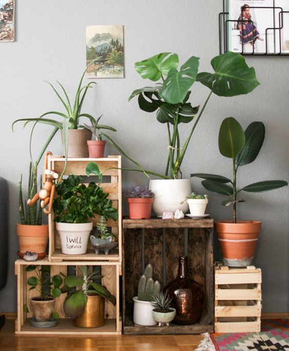 Inspirações para decorar a sua casa com plantas