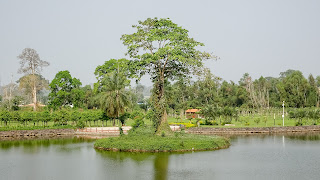 Equatorial Guineas National Park