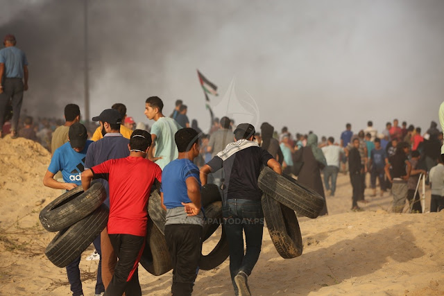 A tous les « écolos » qui passent leur temps à défendre la « cause palestinienne »: Voici comment les aider ! - Infos-Israel.News