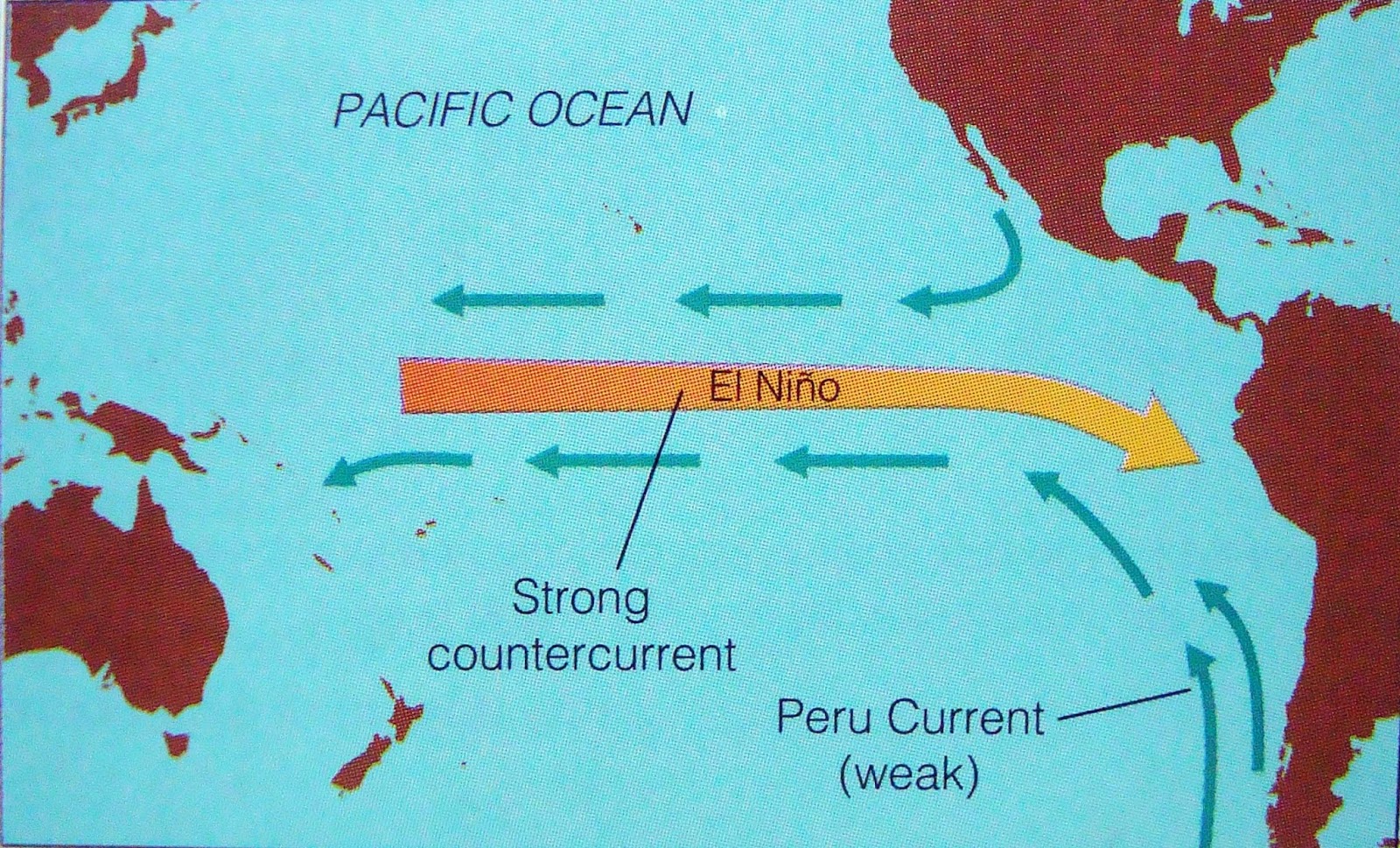 Перуанское течение является. Направление течения Эль Ниньо. Направление течения Эль Ниньо в Южной Америке. Эль Ниньо перуанское течение. Течение в тихом океане Эль-Ниньо.
