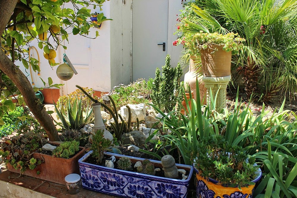 Sharon in Spain A little Spanish garden.....