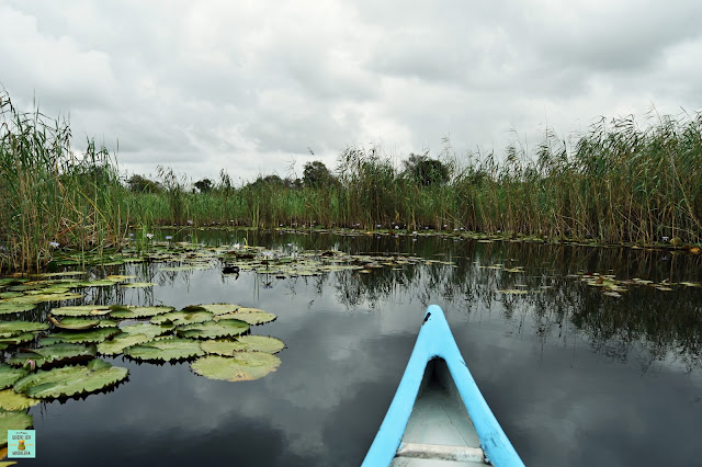 Govuno Wetlands, Mozambique