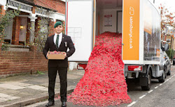 Sainsbury's Blazing Trail With Poppy Appeal For Charity