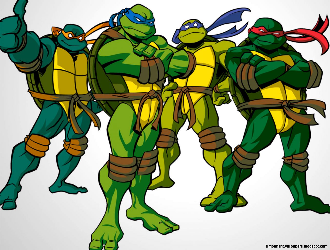 Cartoon Teenage Mutant Ninja Turtles