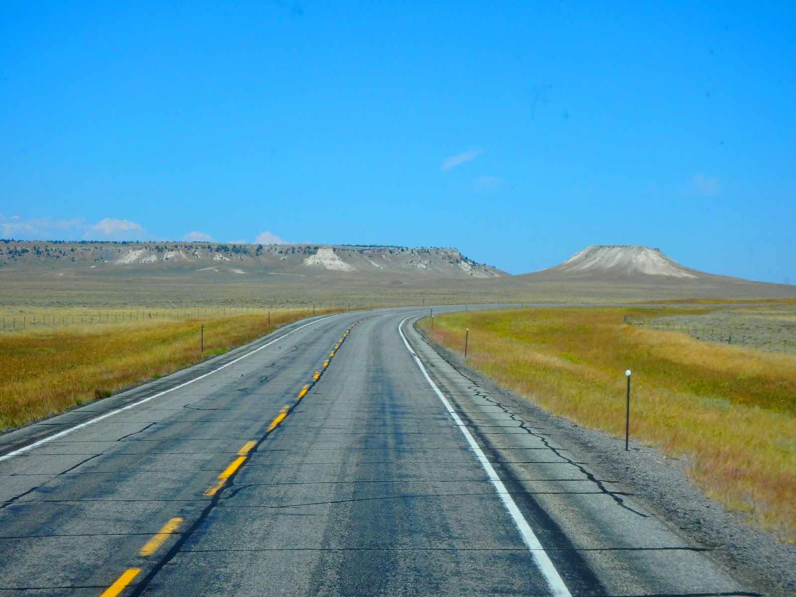 PAMPERED PENGUIN August 1617, 2017, Riverton, Wyoming