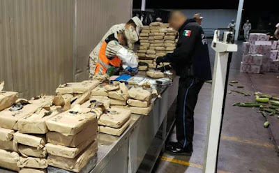 Ubican cientos de kilos de diferentes drogas en tráiler con verduras chinas en Sonora