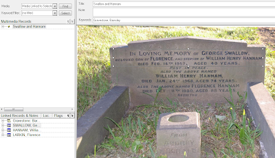 Displaying the multimedia window in Family Historian, showing the Swallow and Hannam gravestone with the text for George Swallow outlined by a box.