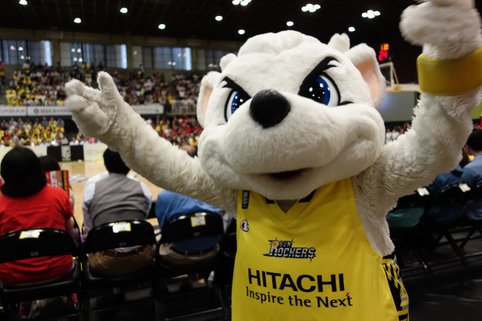 Images of サンディー JapaneseClass.jp