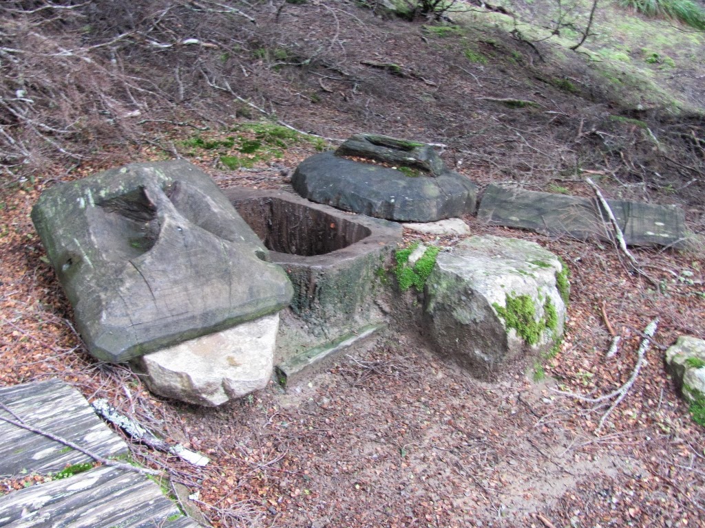 Windy Ridge Hut M&M Smith: TASMANIA : DAY 5 : OVERLAND TRACK : Kia Ora Hut to Windy ...